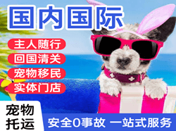普宁机场快递国际宠物托运 【国